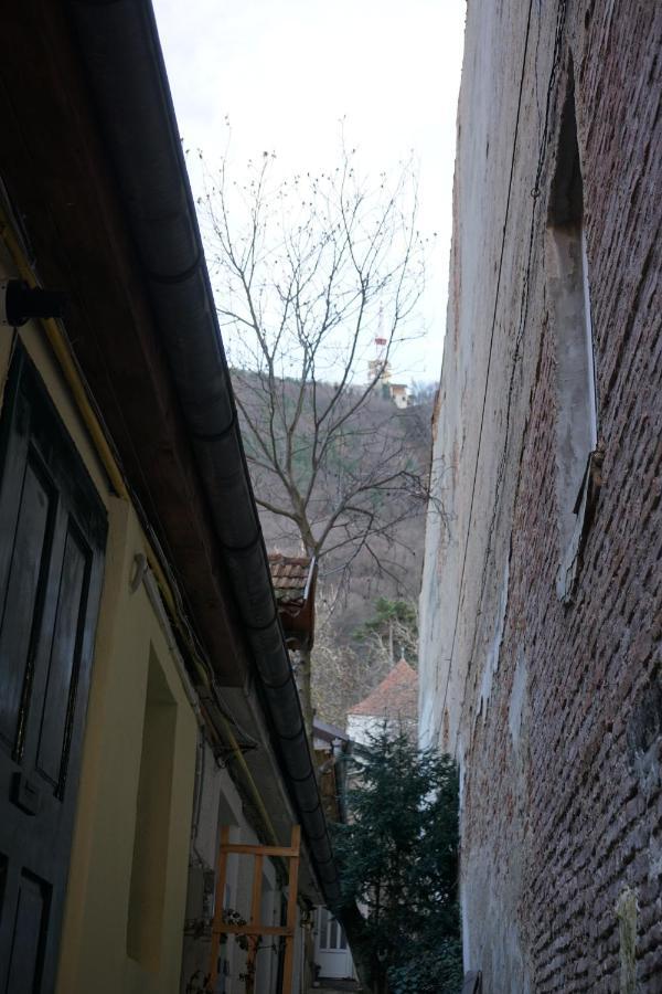 Crown Of Karolina Braşov Exterior foto